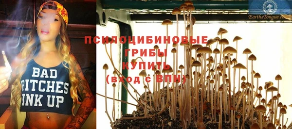 метадон Коряжма