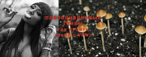 метадон Коряжма